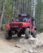 ⁦2.5 Inch Front / 2.5 Inch Rear Lift Springs 97-06 Wrangler TJ Freedom Off-Road⁩ - الصورة ⁦3⁩